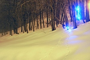 Le chien de la dame blanche, light painting in Courchevel